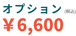 オプション6千6百円(税込み)